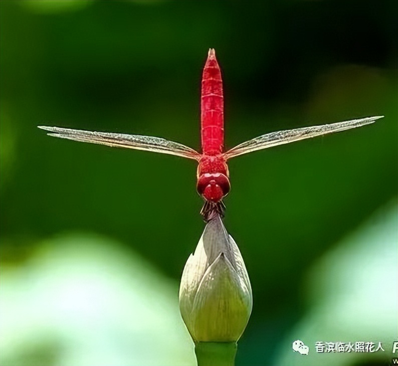 第十届创新作文大赛获奖作文,第十五届创新作文大赛作文题目