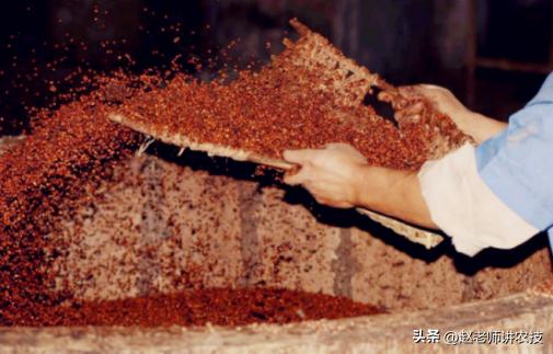 种高粱的利润有多少,高粱酿酒100斤高粱出多少酒