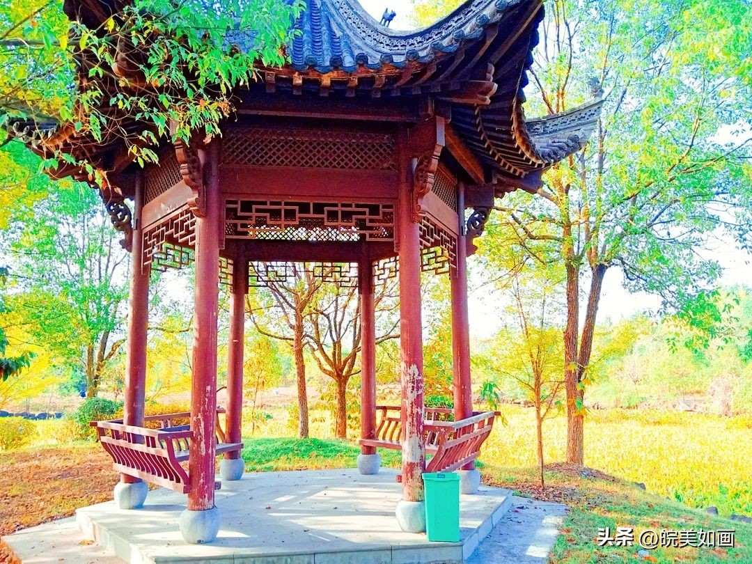 安徽大学好看的风景,高校最美秋景