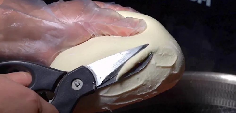 免疫力是最好的医生是谁说的,免疫力才是世上最好的医生