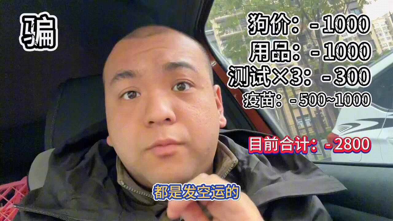 怎样在网上买狗不踩雷,买狗需要提防的套路