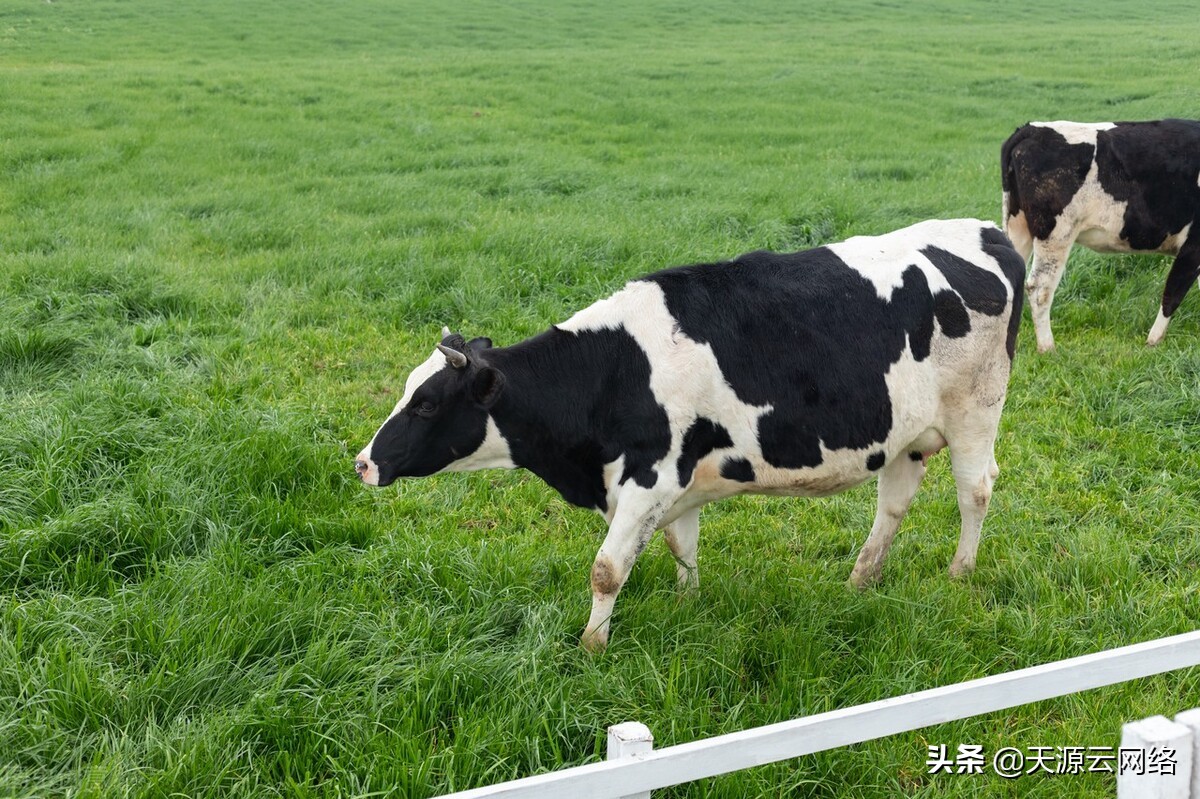 如何才能预防日射病和热射病的发生呢？