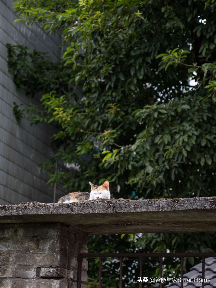 王者归来，它是M4/3的未来式OM-SYSTEMOM-1体验记