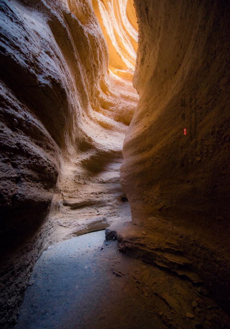 流失的珍贵壁画,一些壁画保留完整了几个世纪