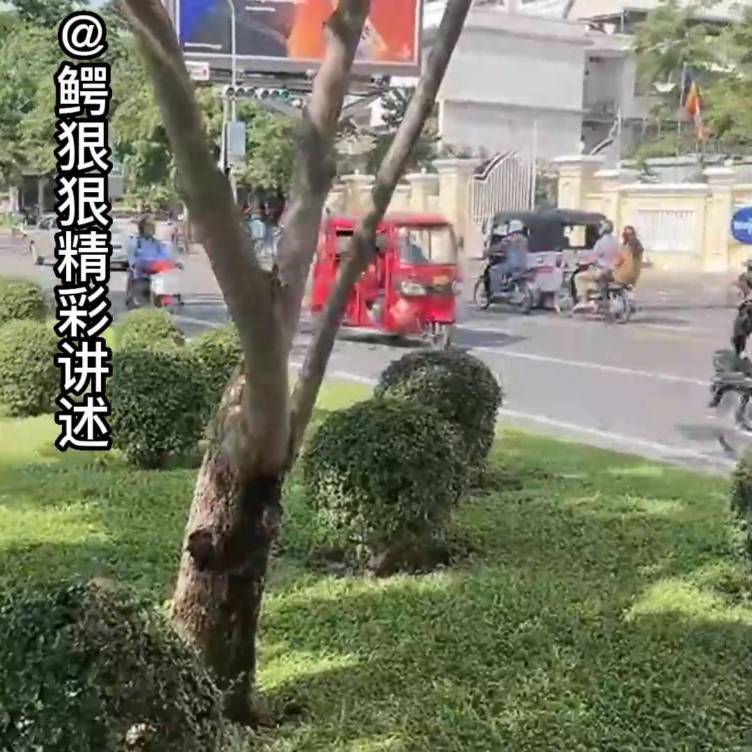 大结局代哥小勇哥拍卖风波。合集看全集。