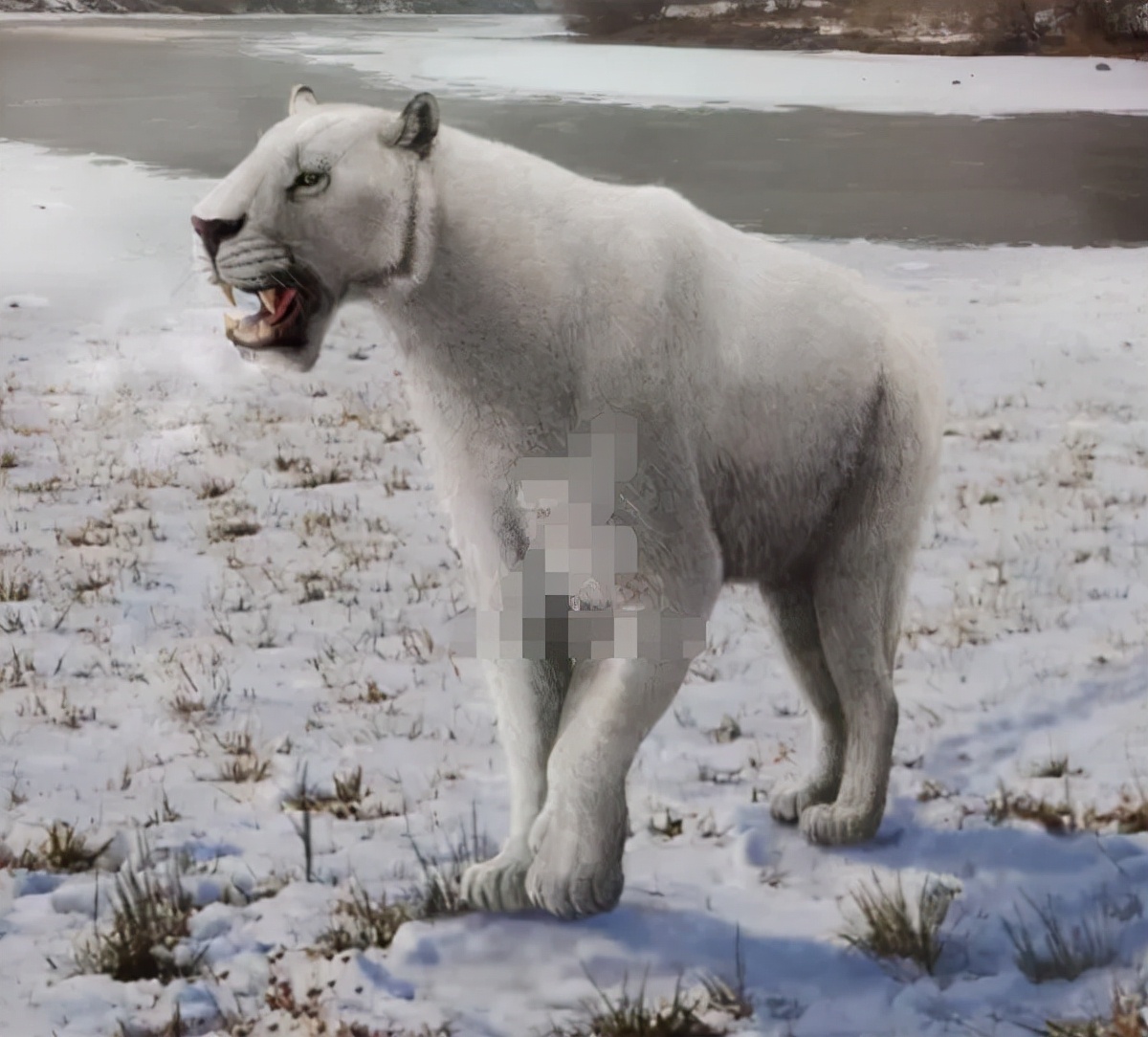 冰河时期最强的猫科秒杀东北虎,猫科霸主东北虎