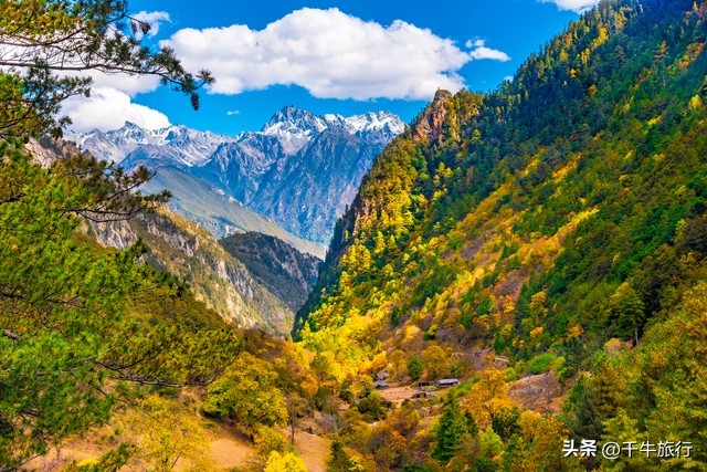 云南必去的4个景点,云南网红打卡景点