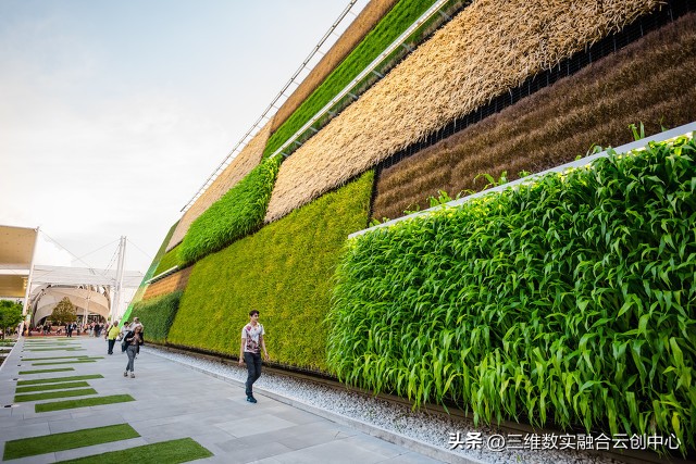 农业发展重点突破,农业创新发展模式