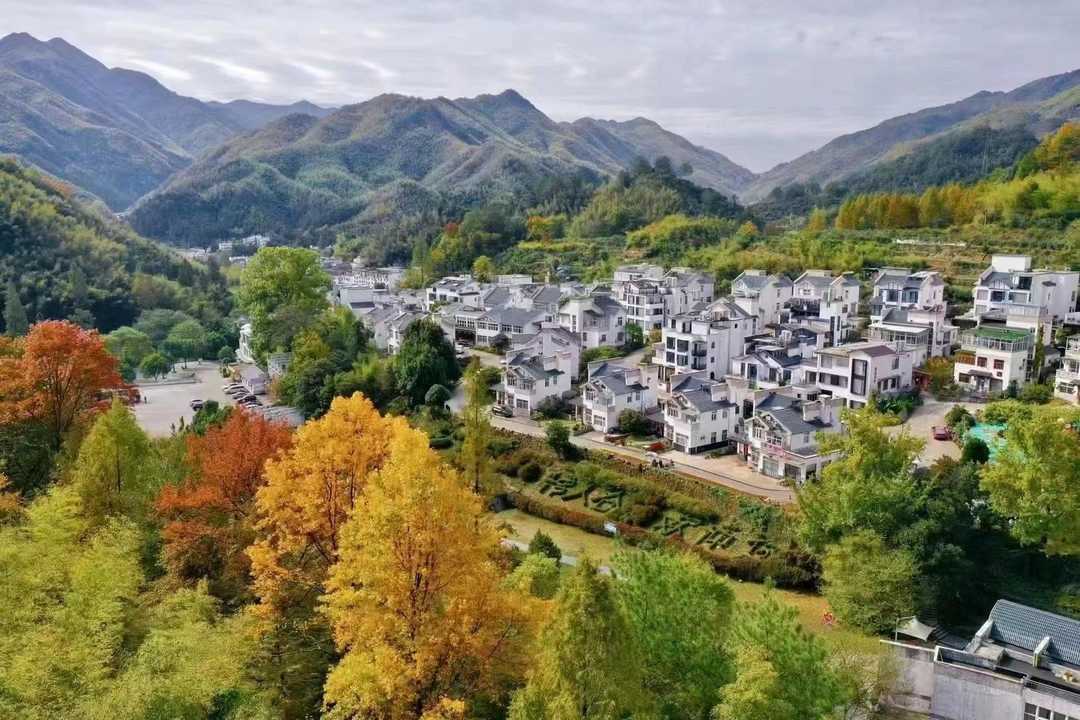 壬寅孟冬里的散词漫绪·06