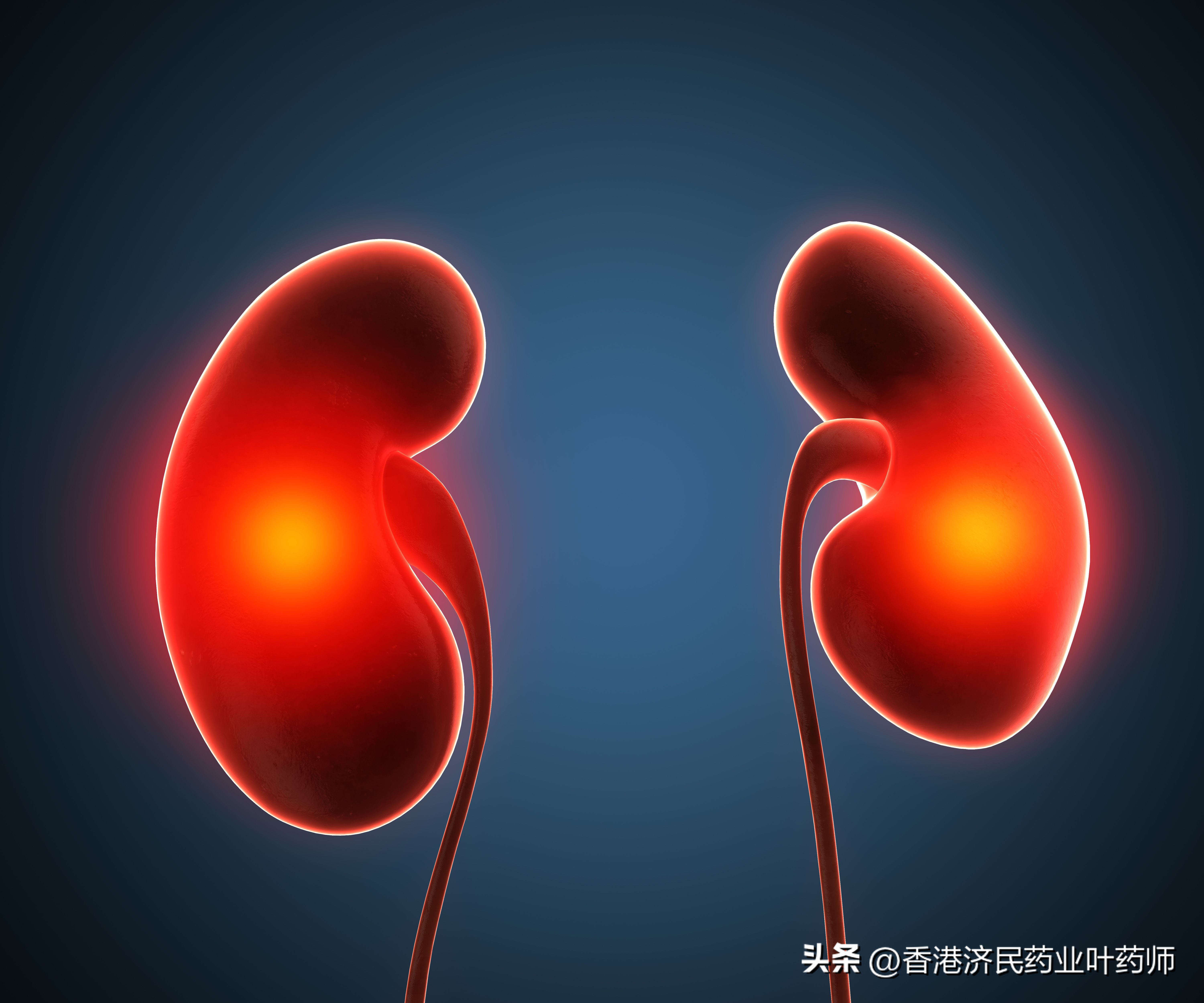 hif-2抑制剂,hif-2