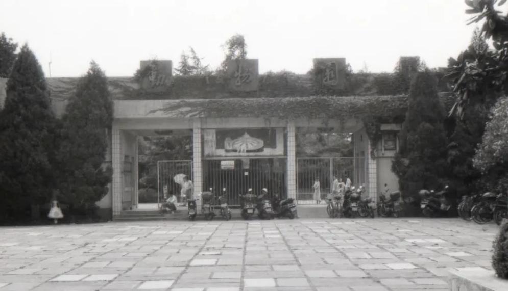 宁波一座令我难忘的城市,怀念宁波的那段日子