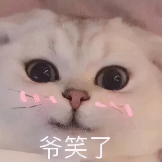 钮祜禄被斩,钮祜禄被灭族