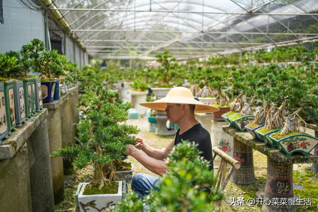 广东普宁有个万花园，由68座小花园组成，编织了农民美丽之梦