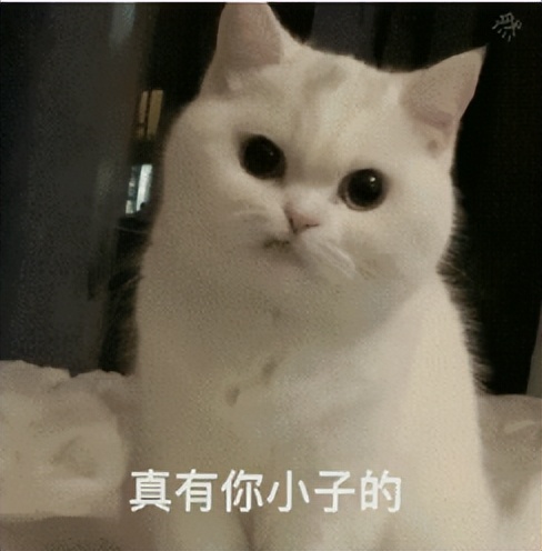 黑一次逆水寒手游给500块？求对接方式，我能喷到他们破产