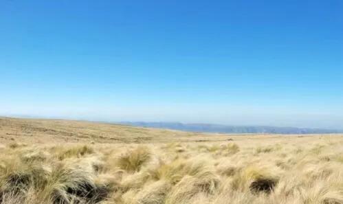 娼樺笗鏂泟楣颁笘鐣屾澂鍐宠禌,鍥為【娼樺笗鏂泟楣板緛鎴樹笘鐣屾澂