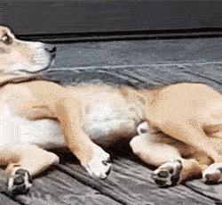 性取向测试,性取向测试怎么看结果