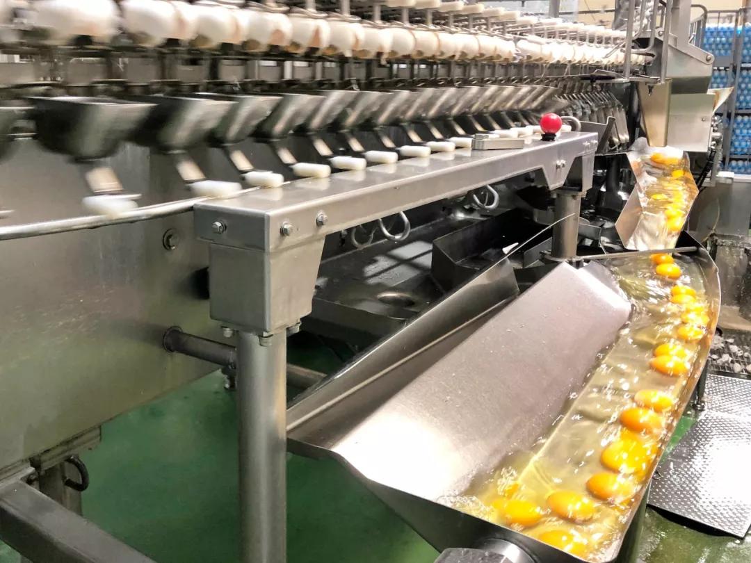 入选名人堂，销量破2亿，传奇布丁品牌的花样进击路