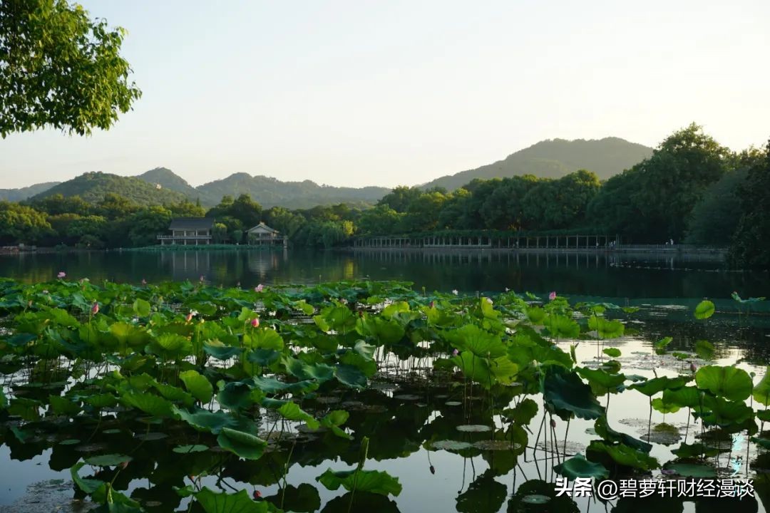 长沙第一波赏荷地图,杭州夏日赏荷地图