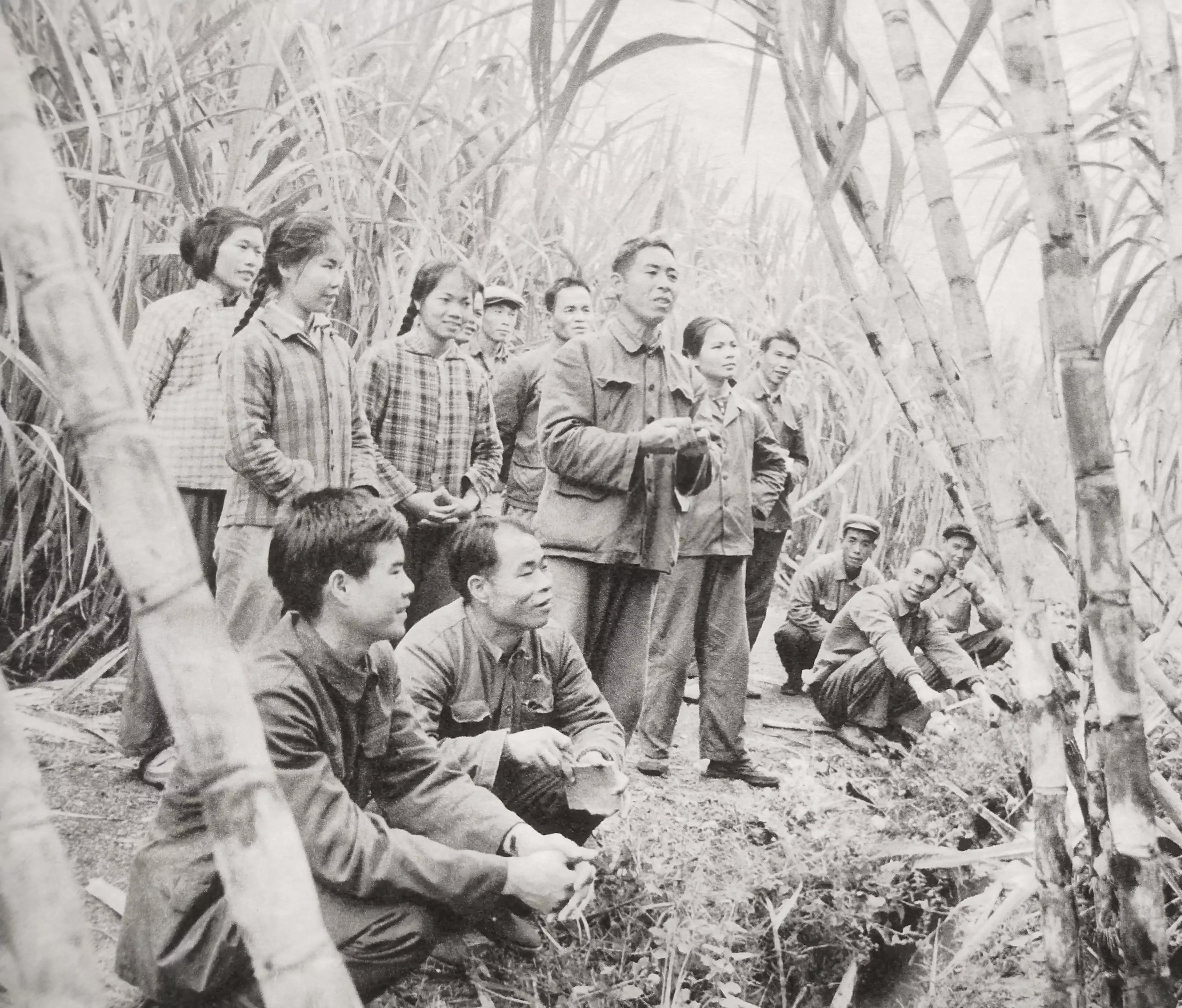 怀旧一下经典图片,怀旧经典图片欣赏