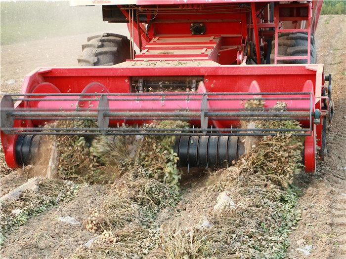 2022油料补贴是按怎样的标准发的,2022年油料补贴