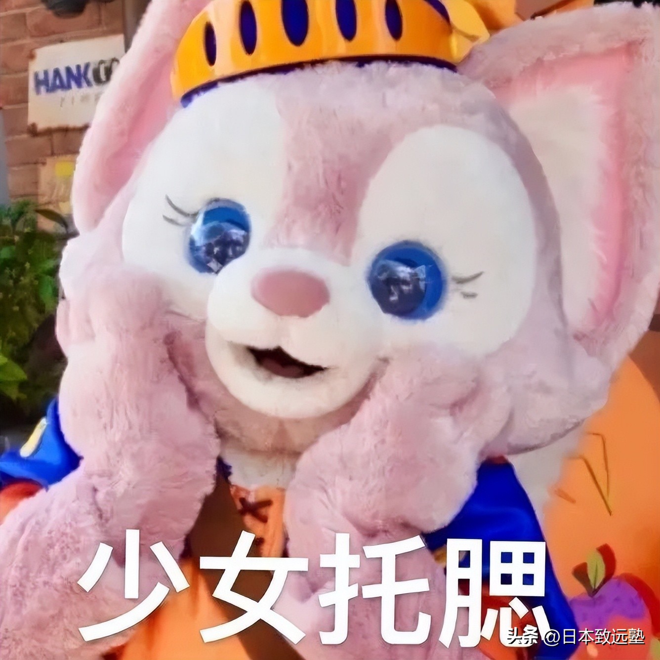 赴日留学最靠谱的途径是什么,去日本留学学习什么好