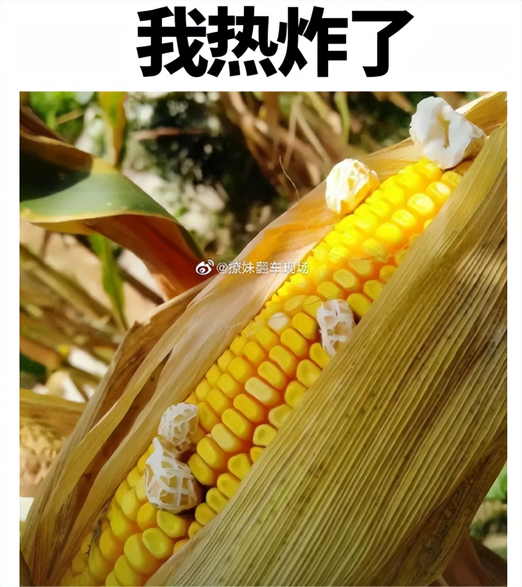 想去游泳馆游泳又怕水脏,想去游泳但是都说泳池很脏怎么办