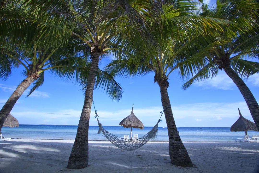 菲律宾学雅思宿务,菲律宾留学生活图片