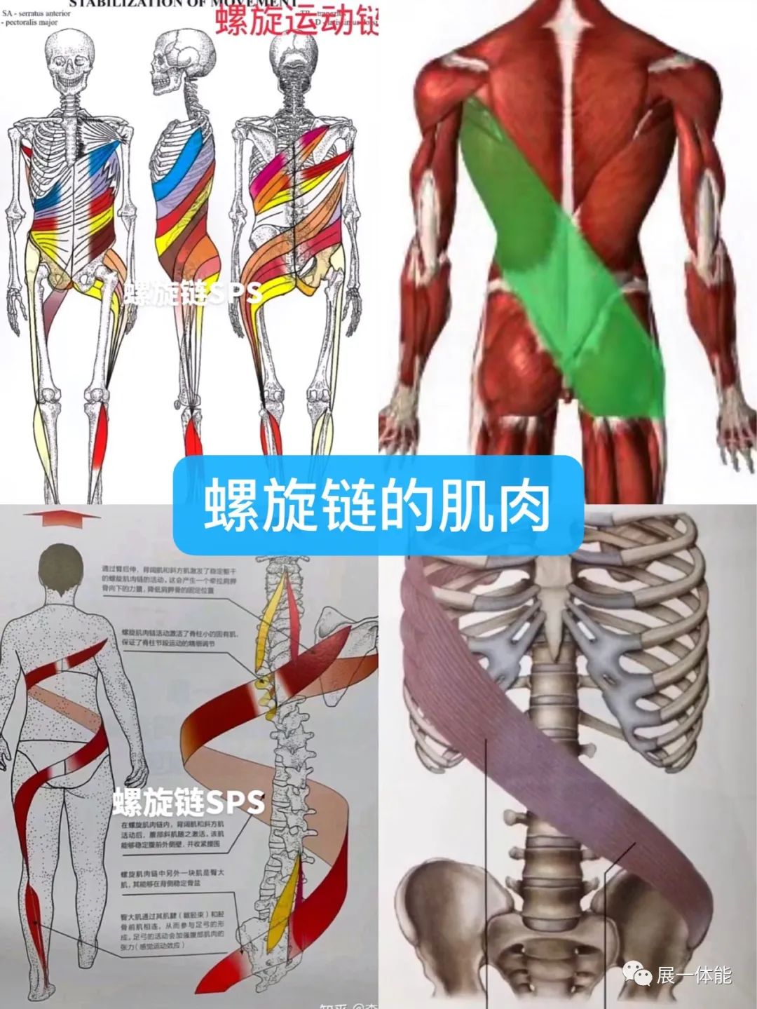 怎样提高射门力量教学,足球怎么提高射门力量