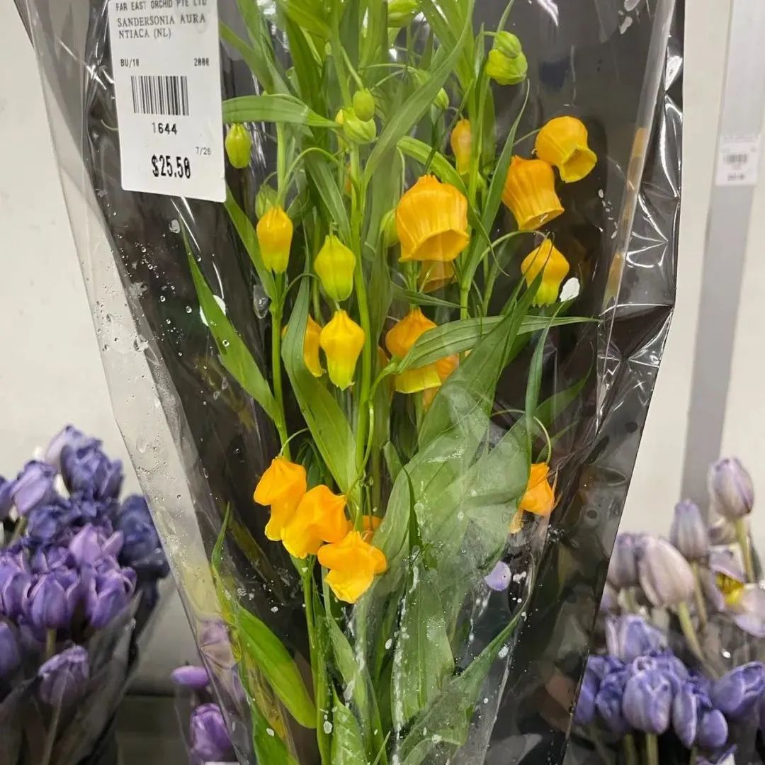 新手必看鲜花养护攻略,鲜花在水里能养几天会死