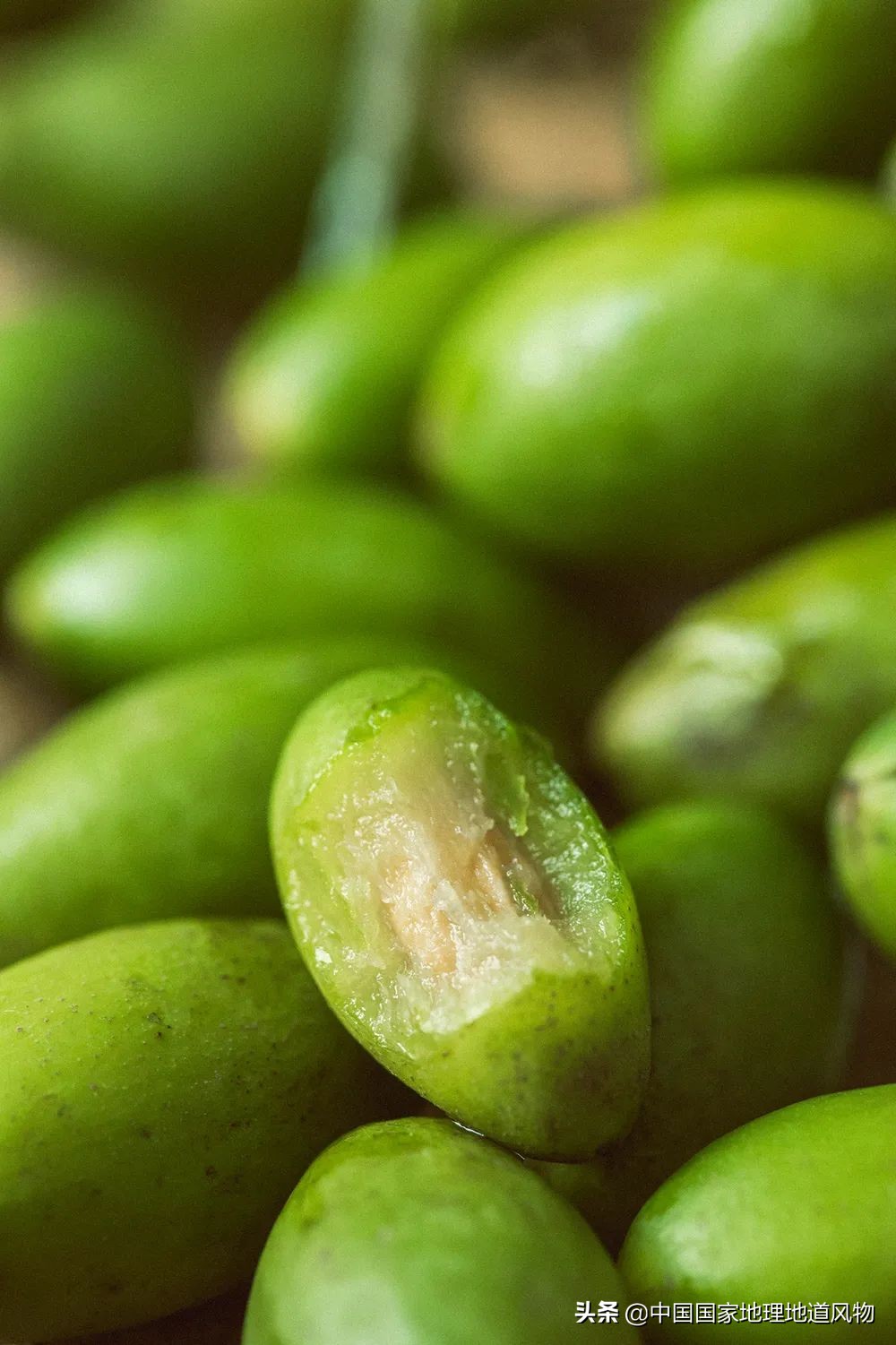 中国的罐头在哪里,中国罐头分布地区