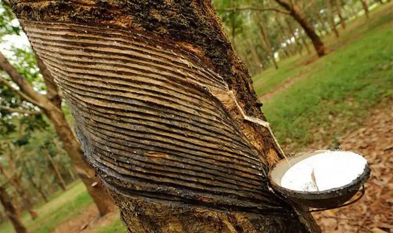 世界上最贵的轮胎品牌排行榜,最酷的轮胎品牌是什么