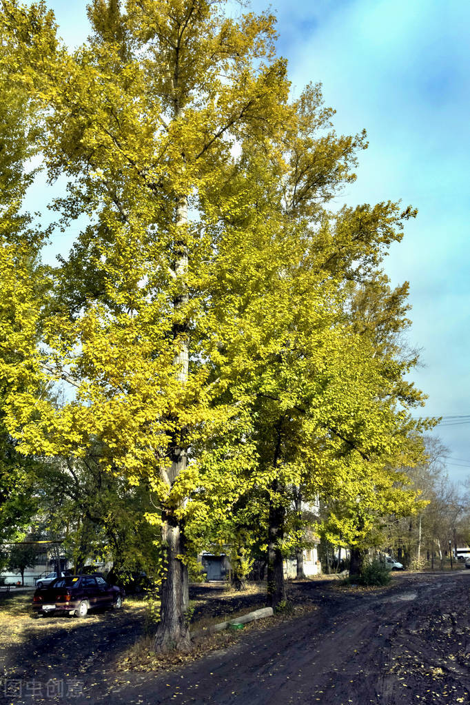 回忆家乡美食的散文,留住乡愁优美散文