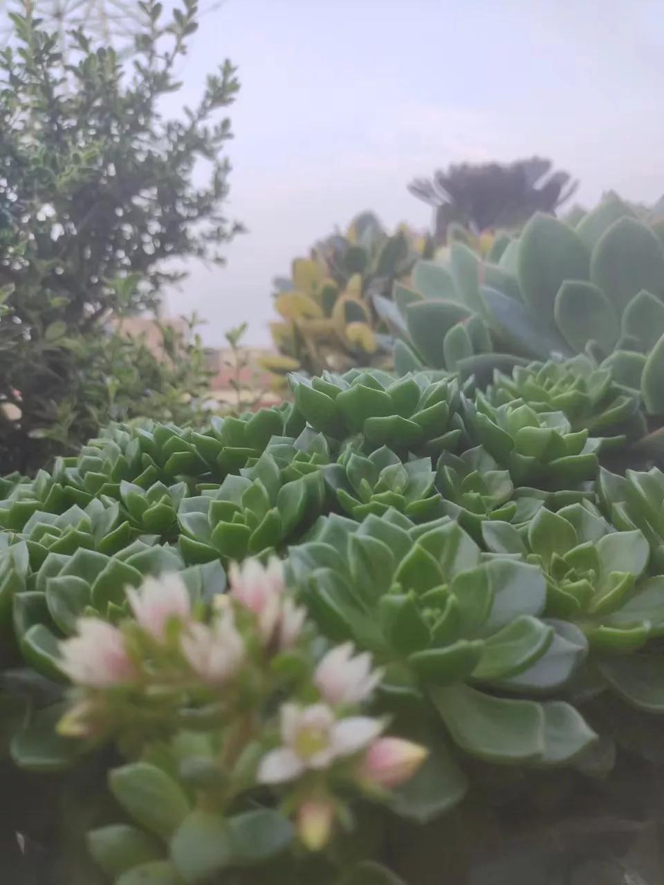 日结临时工体验,南京日结工