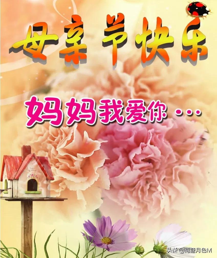 母亲节送给母亲一朵康乃馨,母亲节亲手做一朵康乃馨送给妈妈