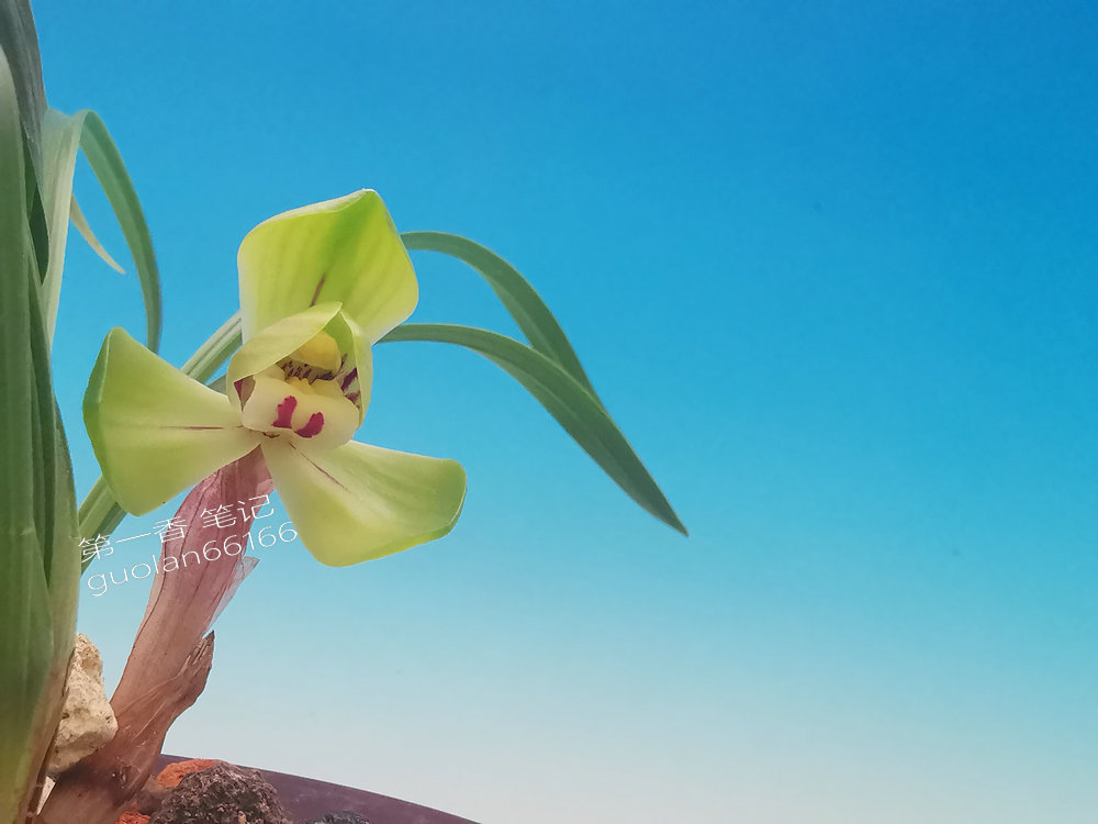 号外!送灶,特别想念家中的父母