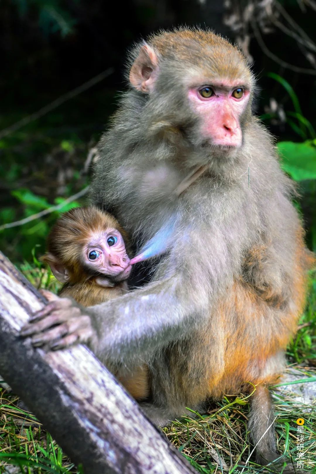 施秉云台山,焦作云台山
