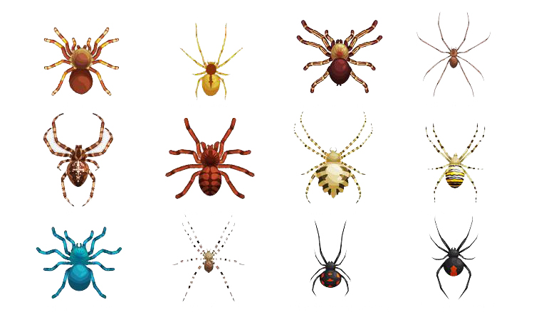 汉字探源：绳和渑中的黾是什么东西？