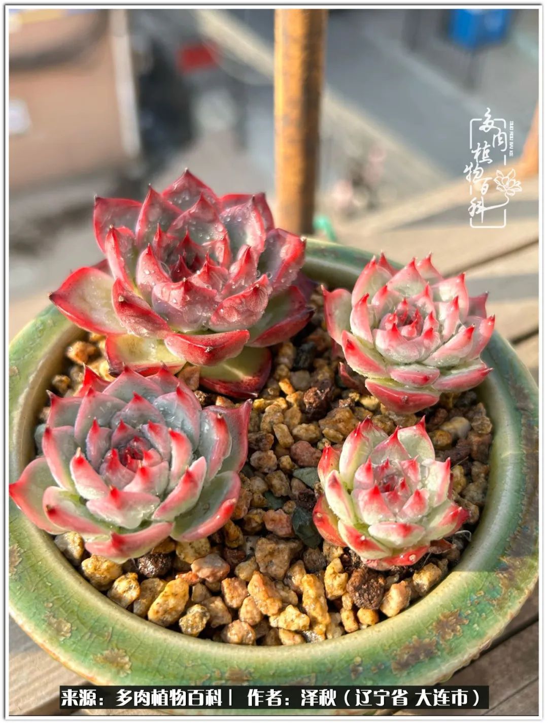 四季轮回之秋天,四季轮回之冬季