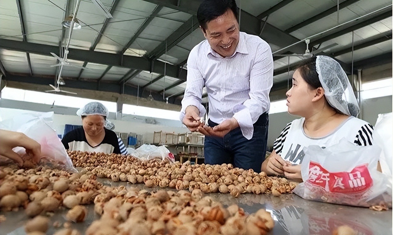 詹氏山核桃和三只松鼠,詹氏山核桃与三只松鼠
