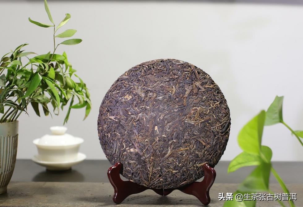小白鉴别茶叶,如何挑选普洱茶最全干货大揭秘