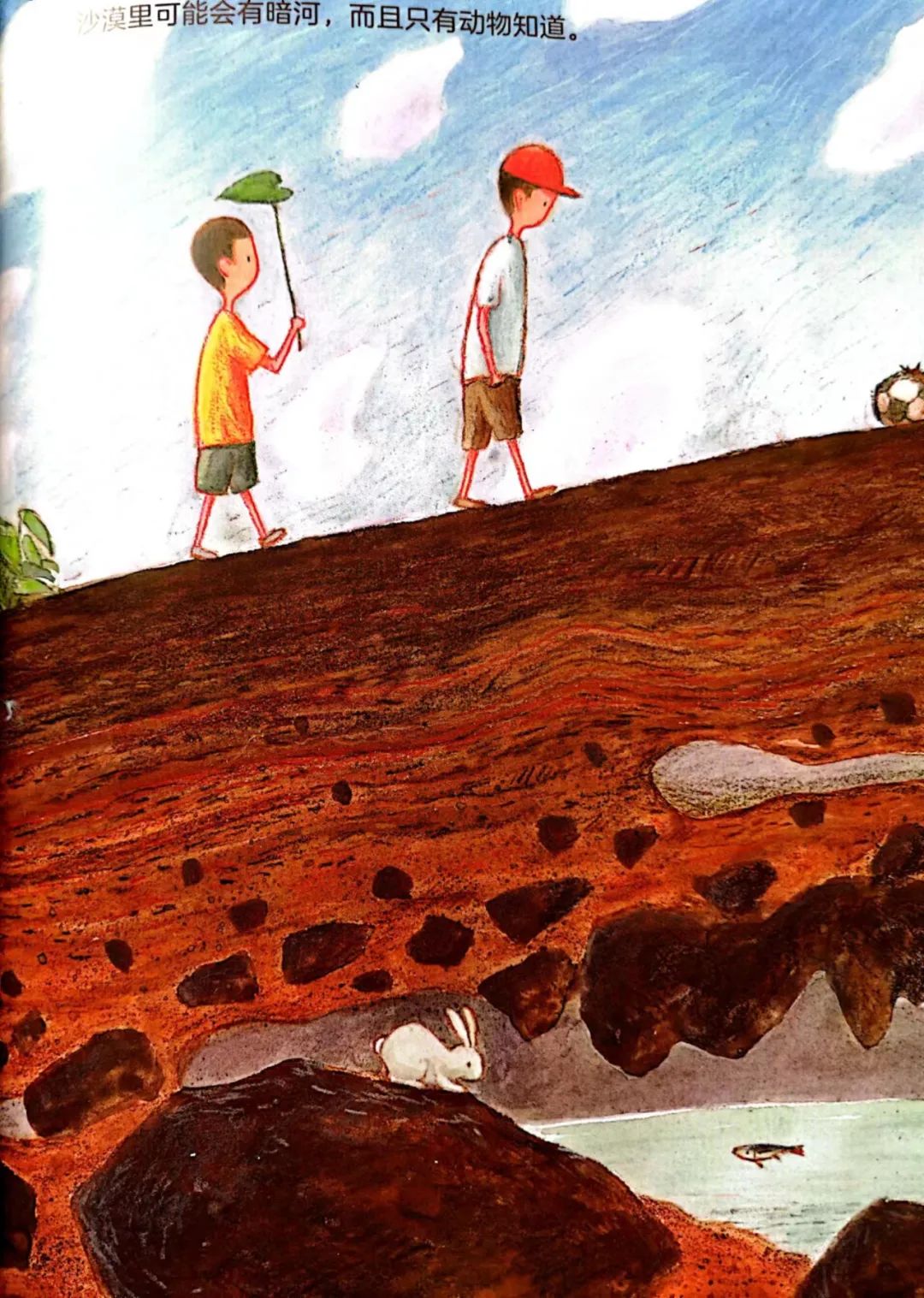 值得孩子看的4本经典绘本,绘本推荐3-6岁散步