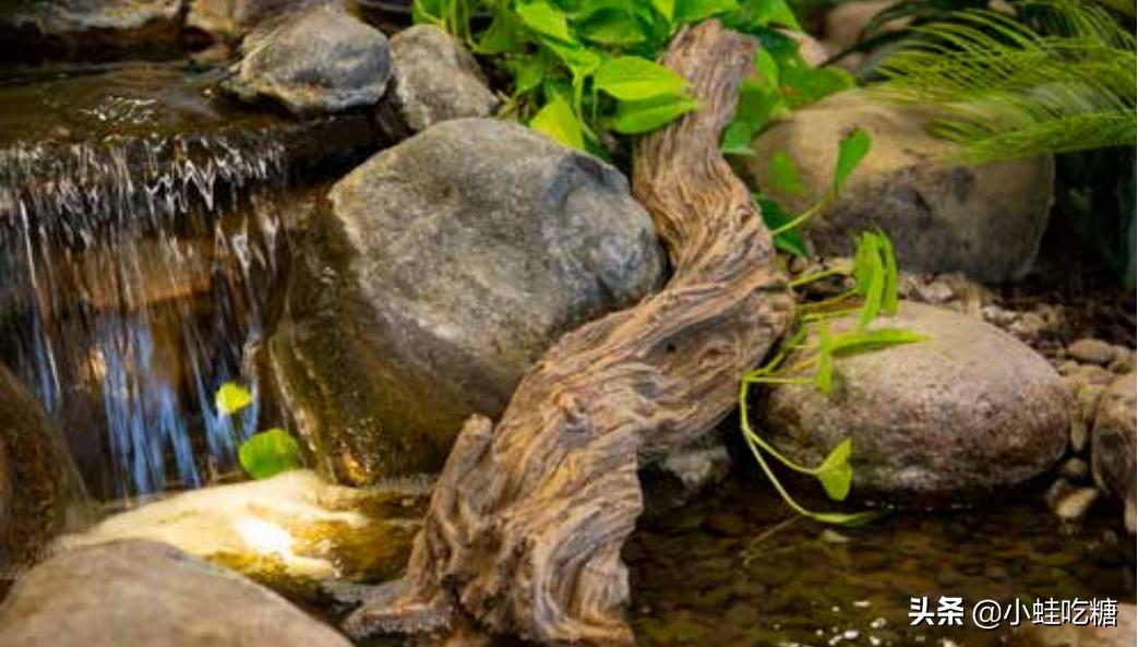 水质清澈的池塘,池塘怎么才能使水质变清澈