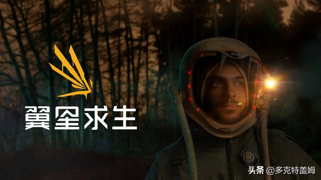 翼星求生游戏,生存游戏翼星求生
