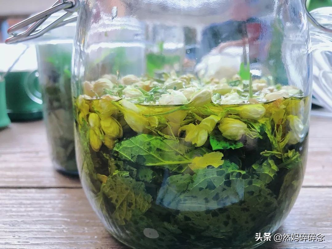 自制薄荷膏让你清凉一夏,自制艾叶薄荷膏