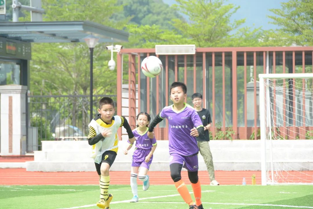 私立学校高薪招聘教师,小学百万年薪招教师