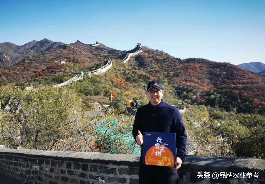 农参专访丨刘湘林：果子也能成股金！丹霞贡柑创新入股模式
