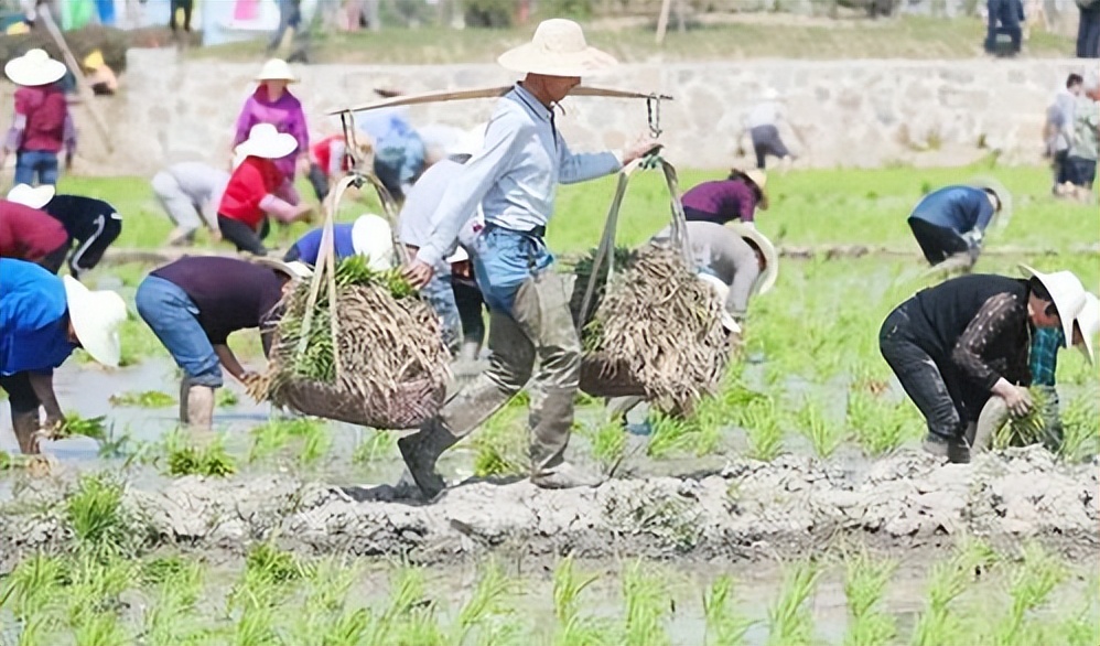 来自塔里木《塔河文苑》：睡着的胡杨