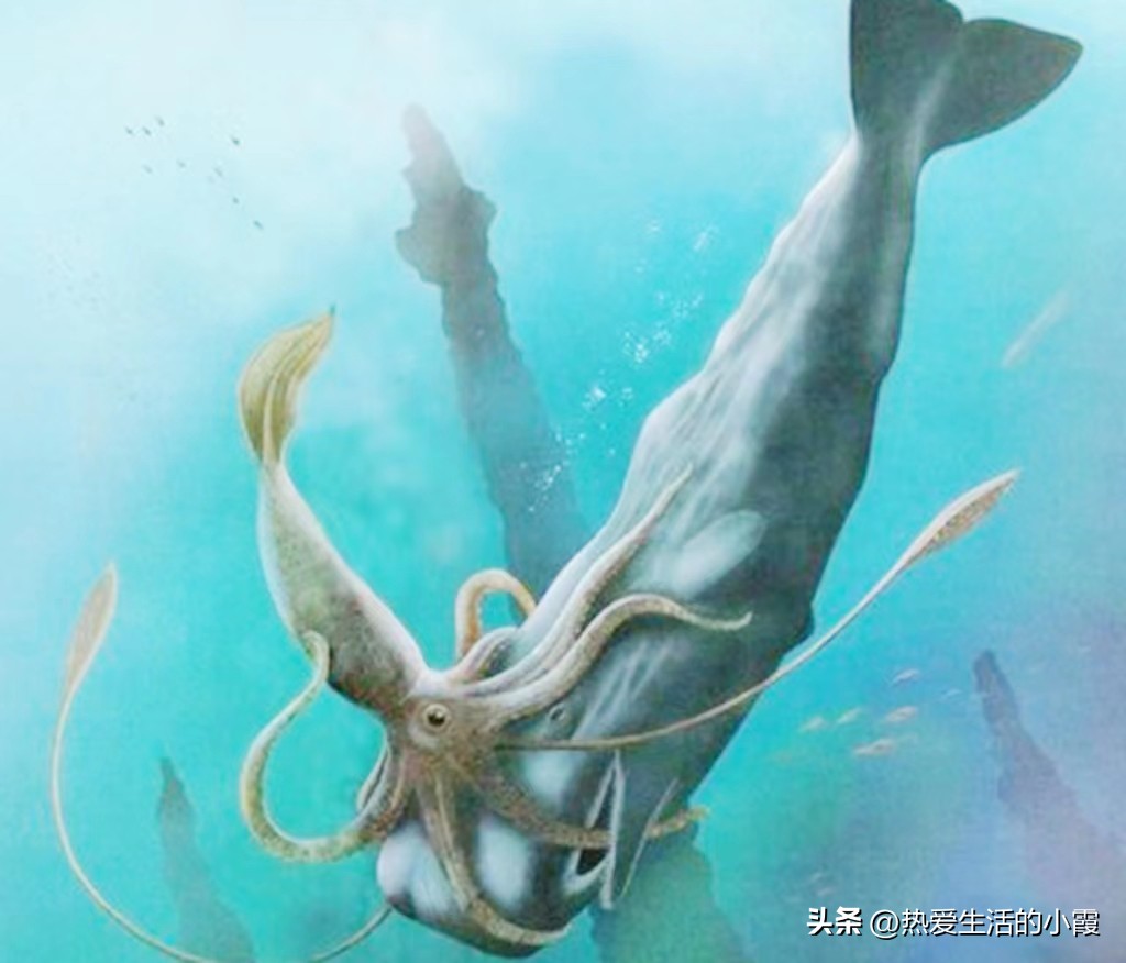 男子意外捡到无数金元宝 (男子海边捡宝)