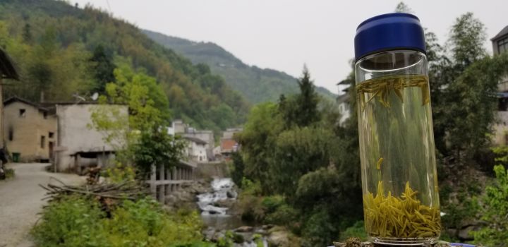 纯净水泡茶比自来水泡茶好喝,哪些茶用开水冲泡好喝又健康