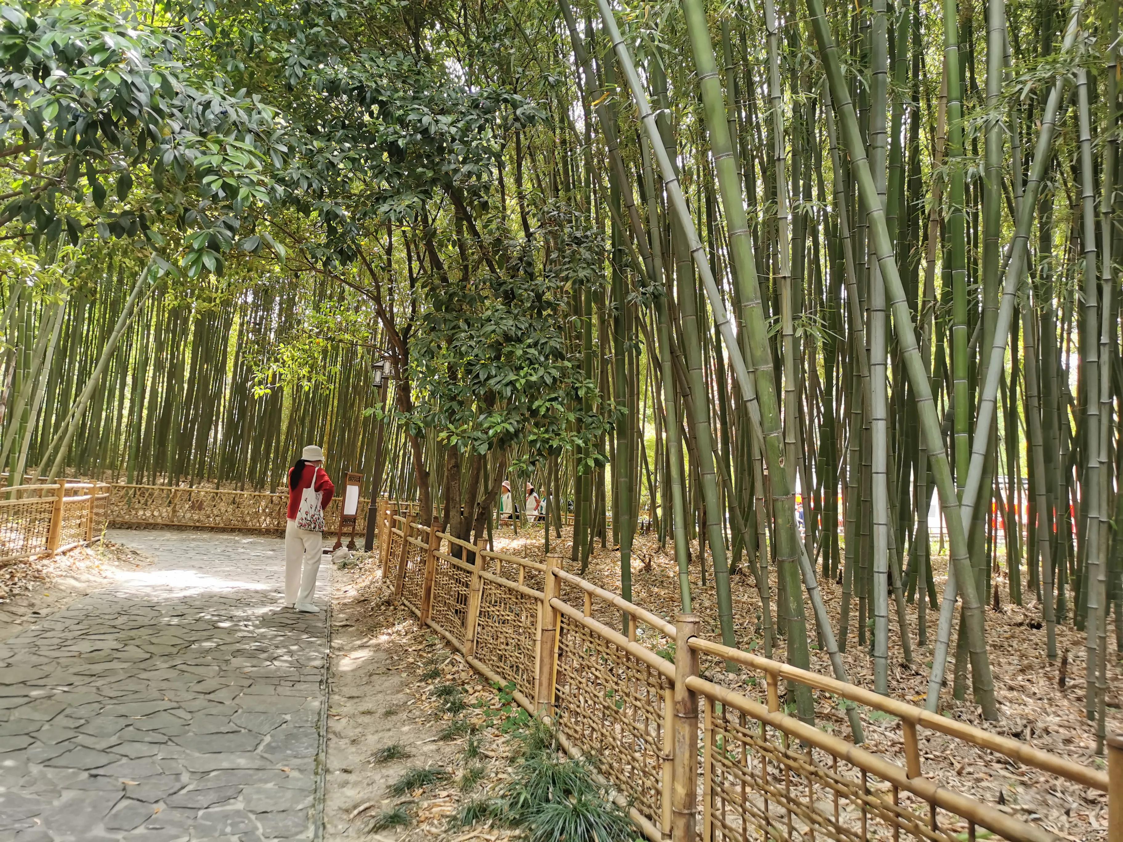 上海园林古猗园,上海古猗园留下美丽景色